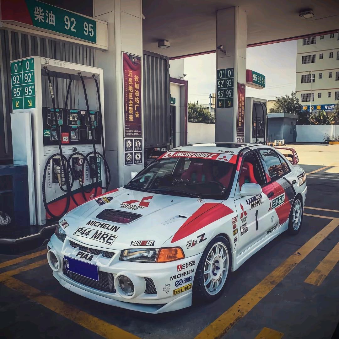 胆小的猪猪（恩师毛教）