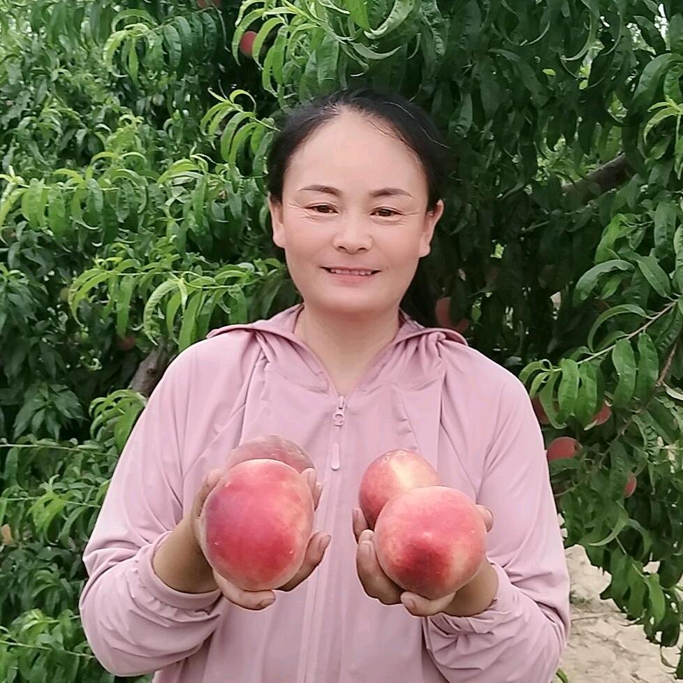 鱼台县鱼城镇蜜桃茹姐采摘园