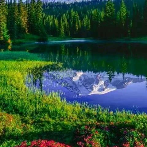 等你等了那么久