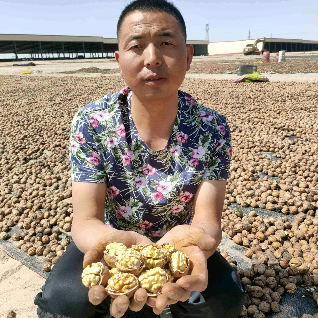 宝哥特产【224兵团产地直发】