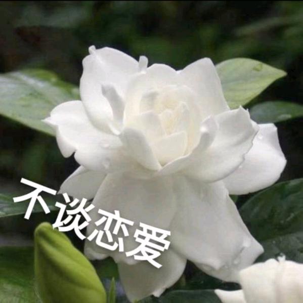 小J