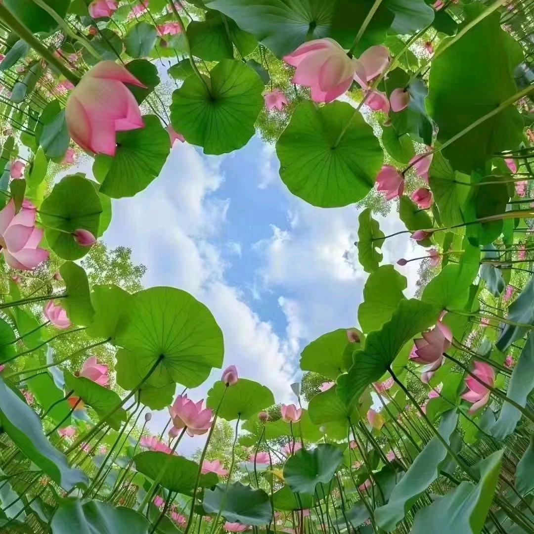 振和龟鳖水产