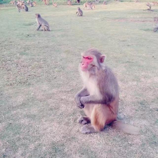等等。