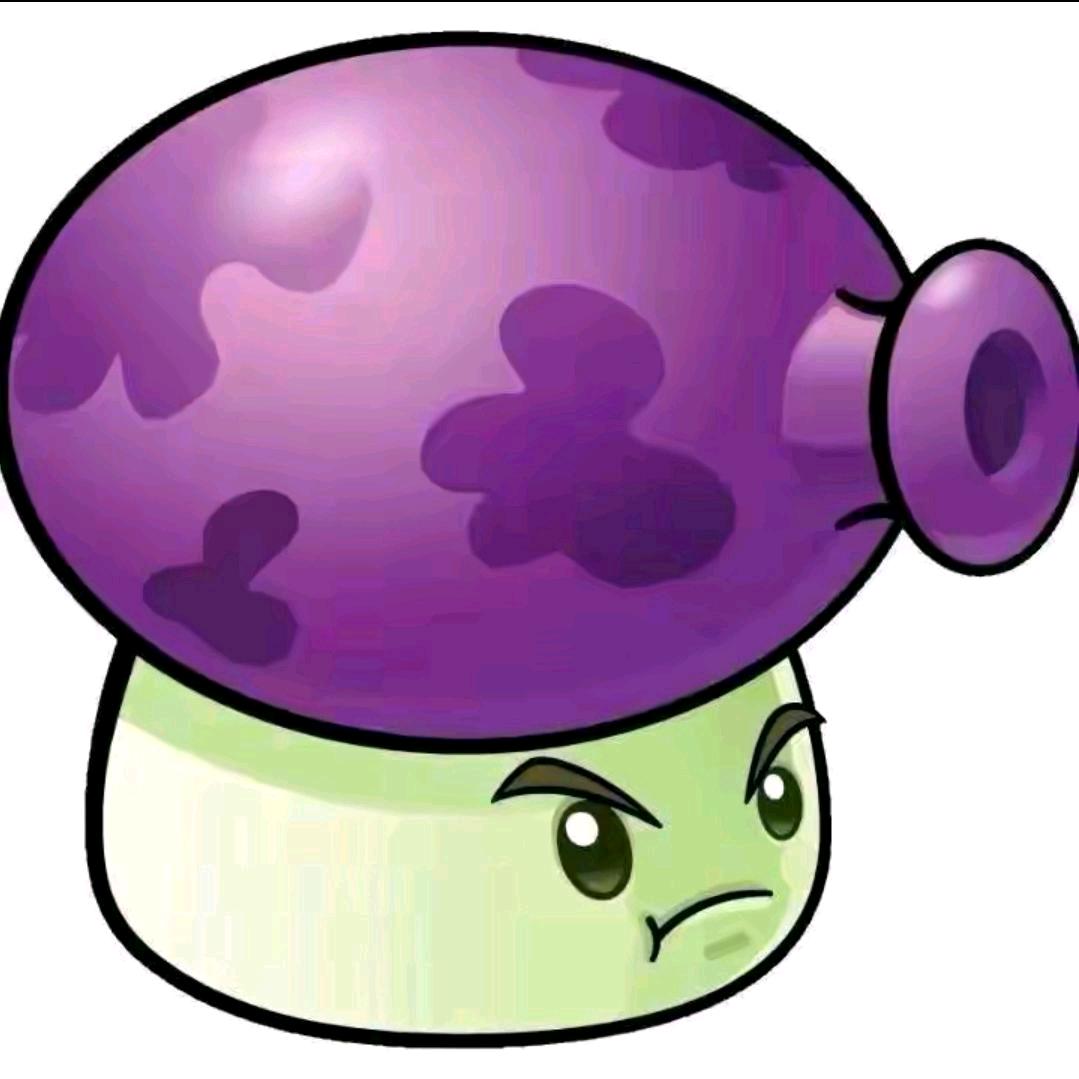 🟣🟣🟣🟣🟣🟣