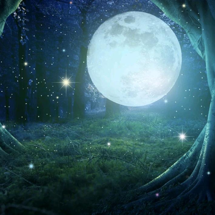 月星读书