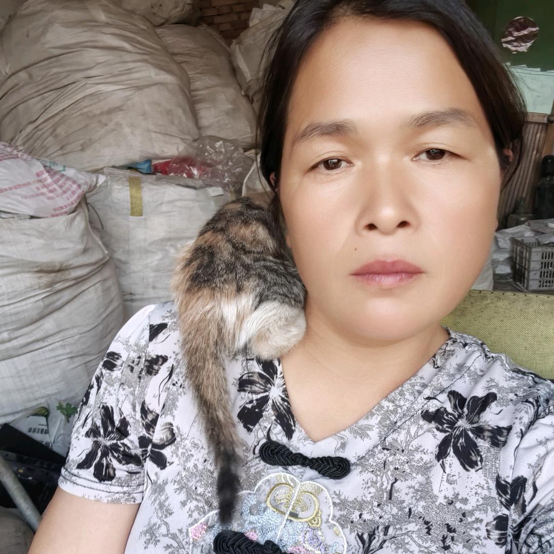 莫姐