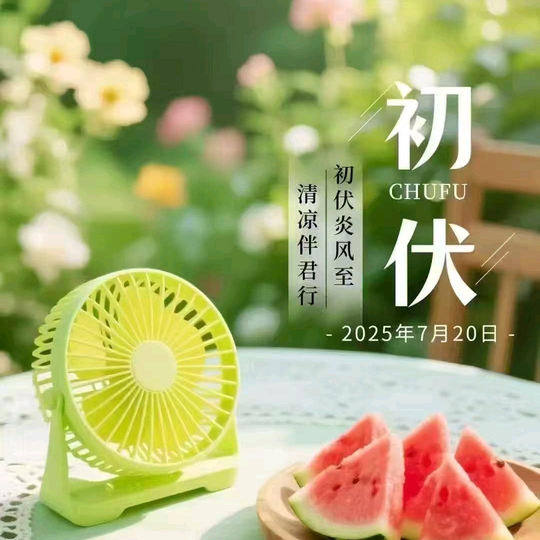 牵着蚂蚁去散步