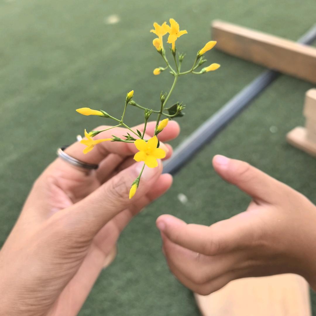 小蹦逗🍓