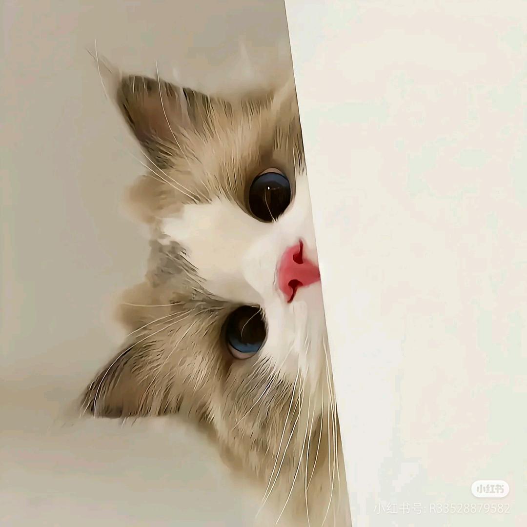 是小团子吖
