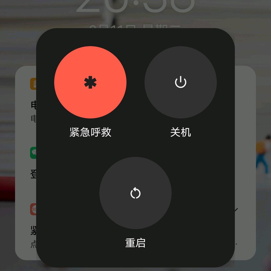 jj鑫鑫3