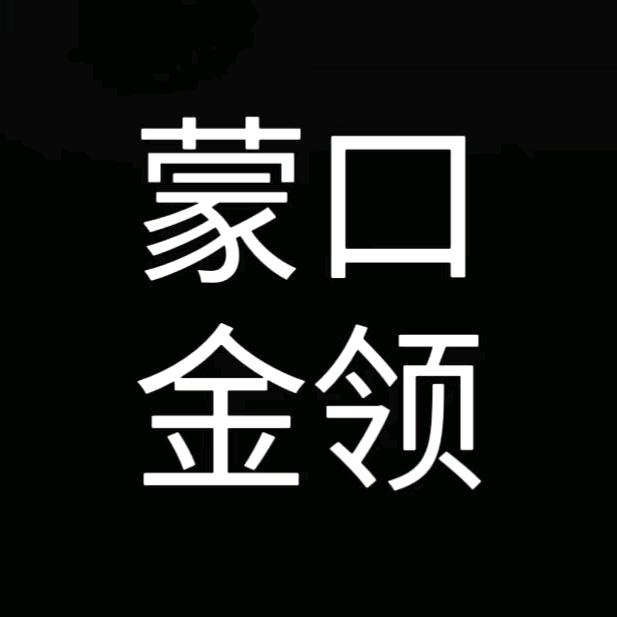 蒙口金领轻奢鹅绒服