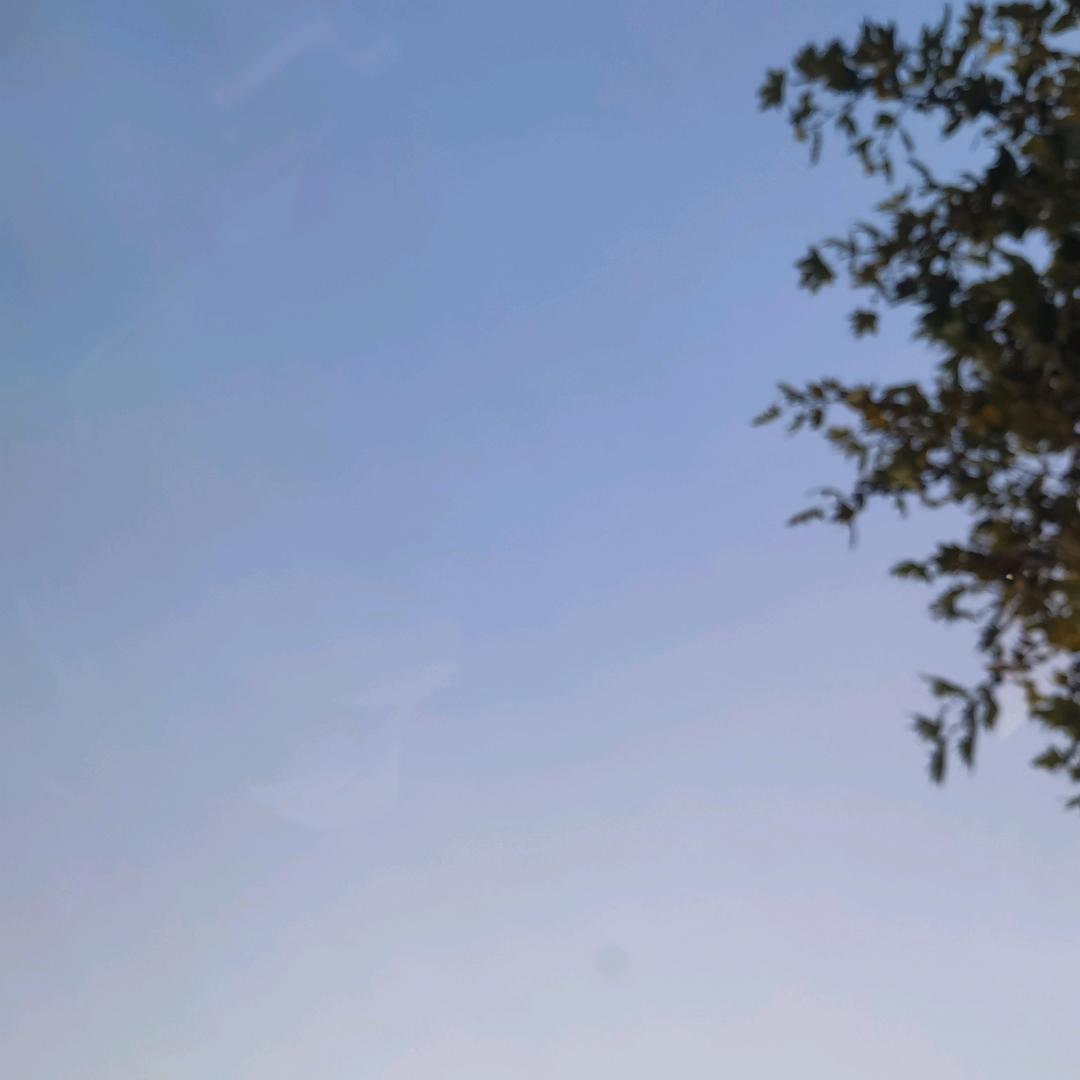 (๑•̀ㅂ•́)و✧