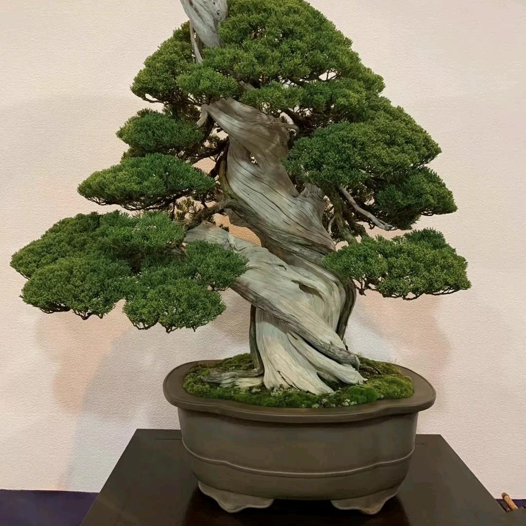似水流年