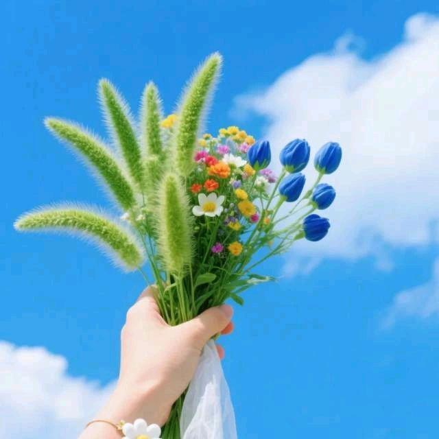 ༺人间🕊️小治愈ཀོ࿐