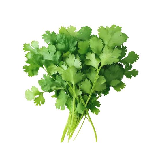 今天早睡了嘛