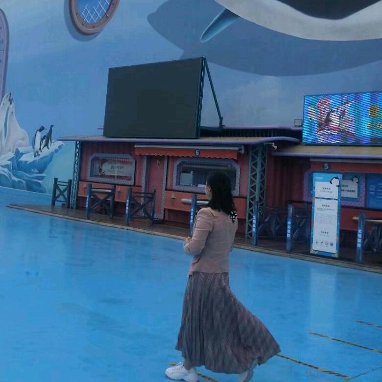 双鸭山-哈尔滨-山东半卧大巴车