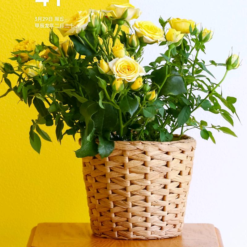 十年，小_跟班   ³¹²