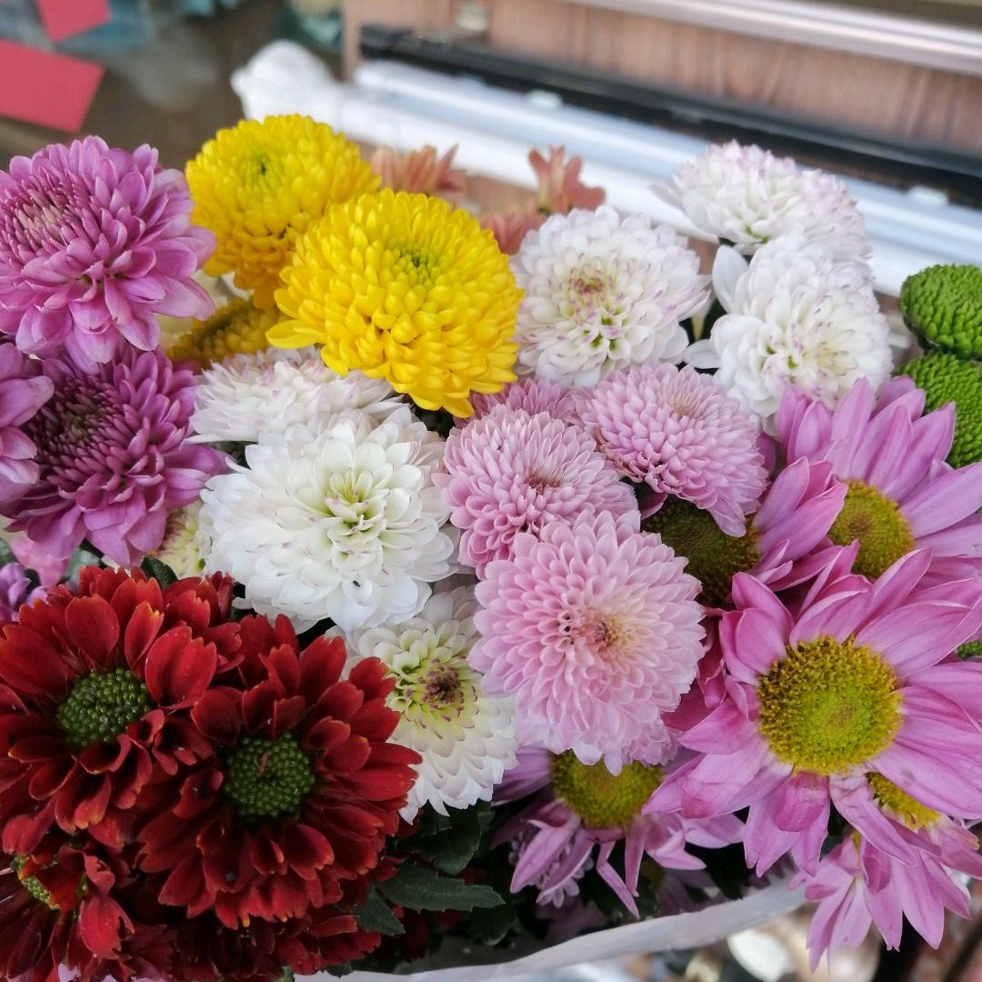 往后余生，进等你