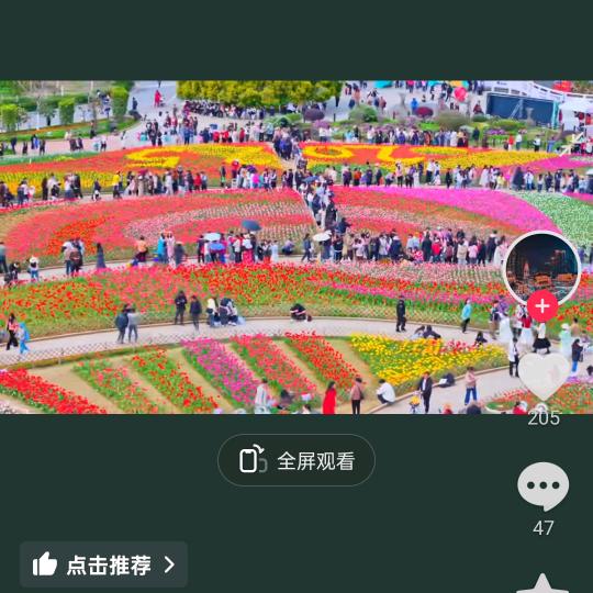 佩
