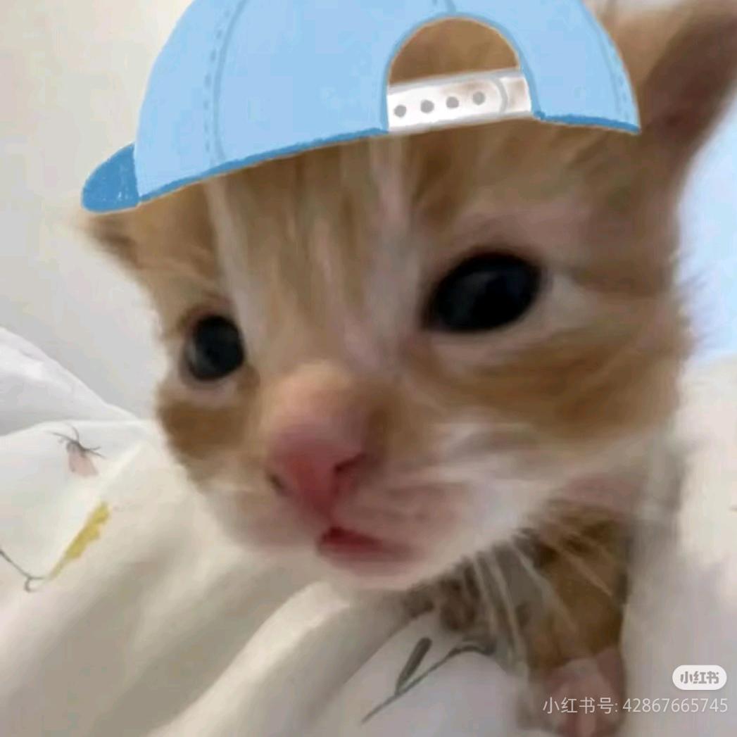 美帽