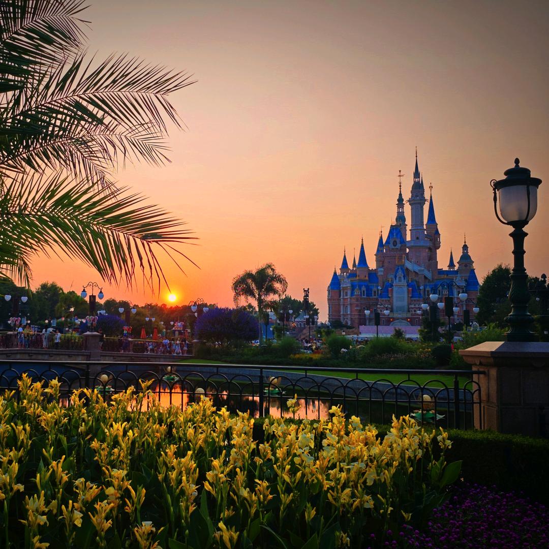 小猪小猪呼噜噜