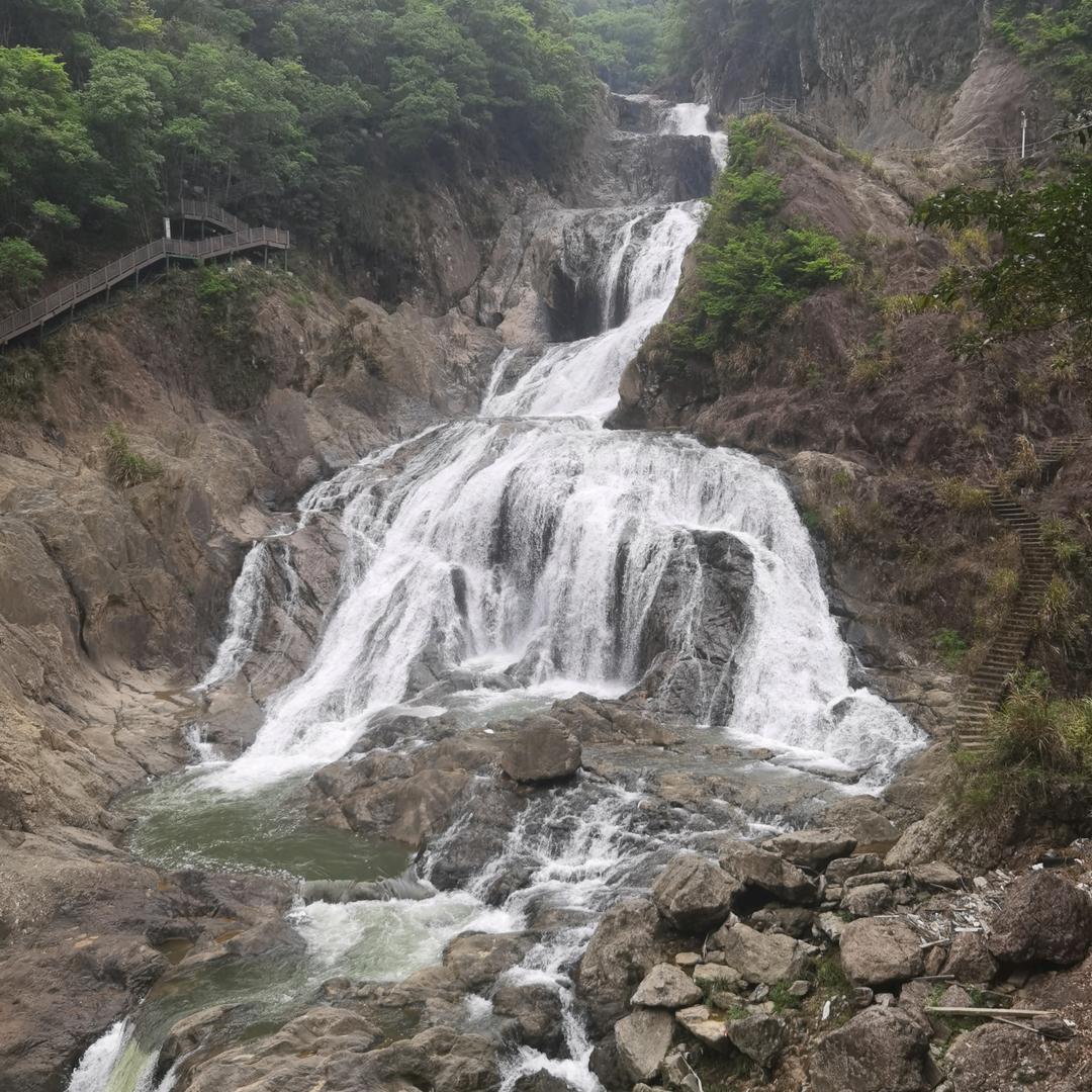 王道新
