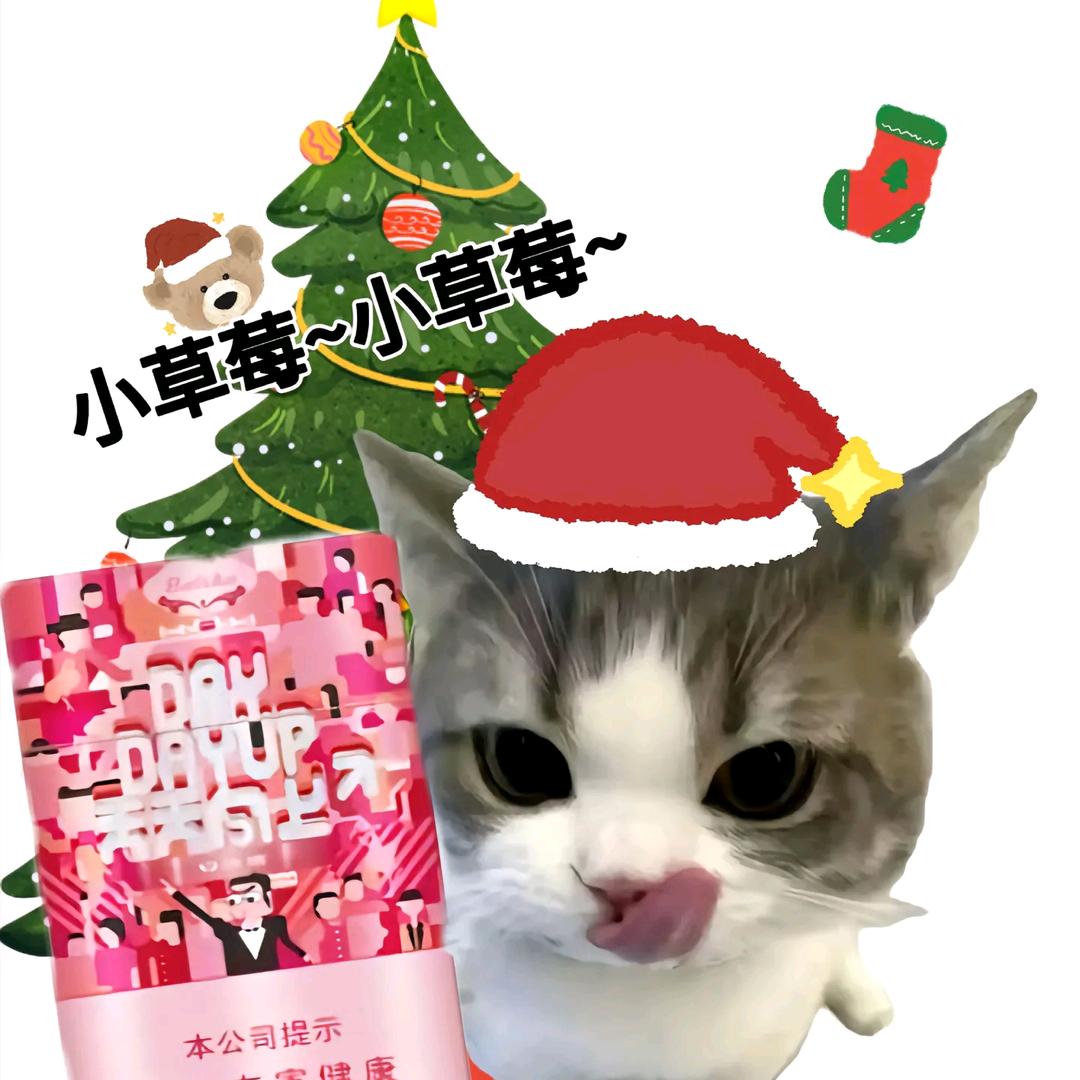 ʰᵉˡˡᵒ𝙠𝙞𝙩𝙩𝙮.