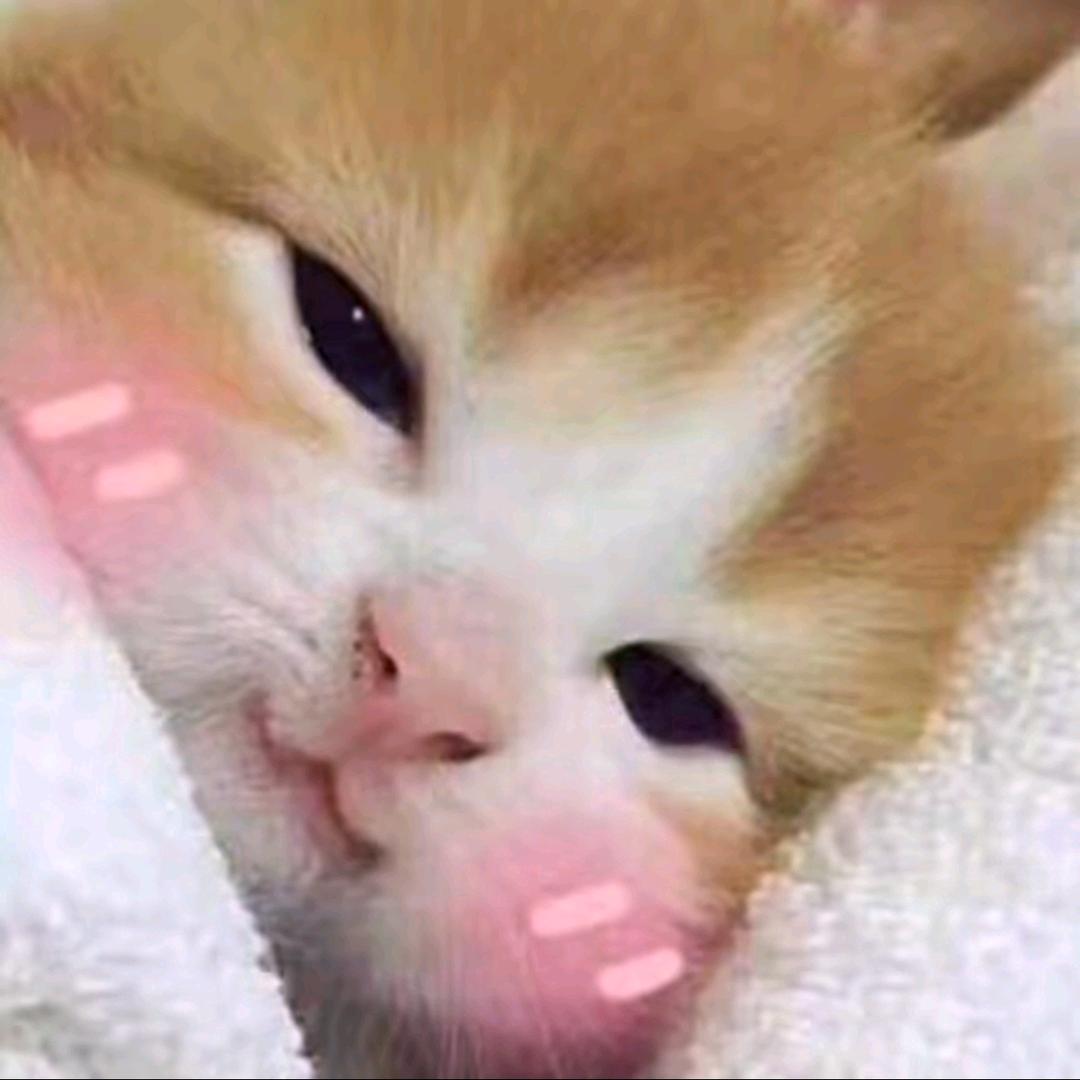 失憶人头像
