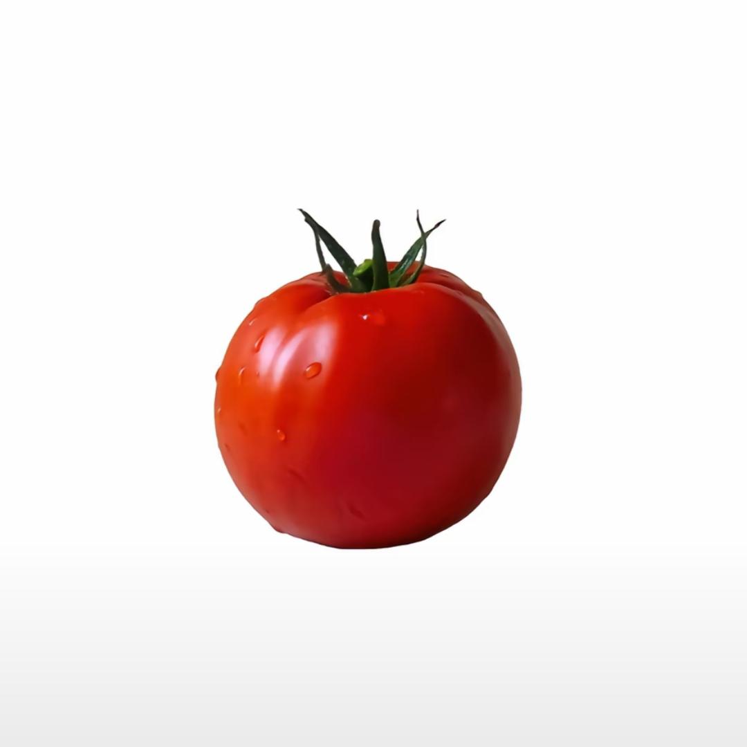一颗番茄🍅