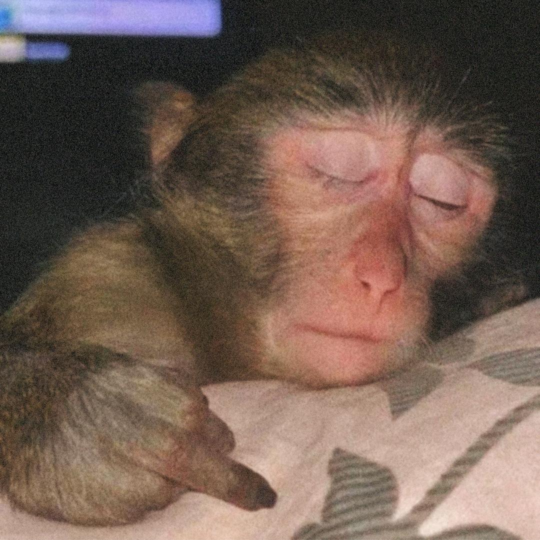 畅饮百年陈年老尿仍觉不够骚劲