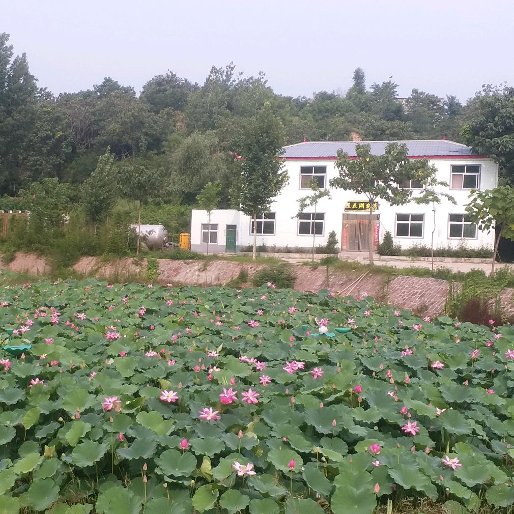 王_