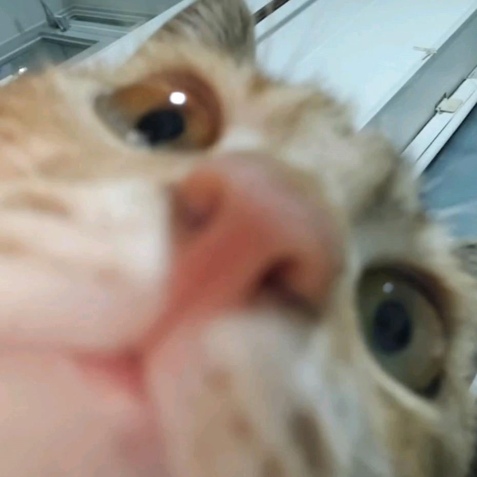 边缘.