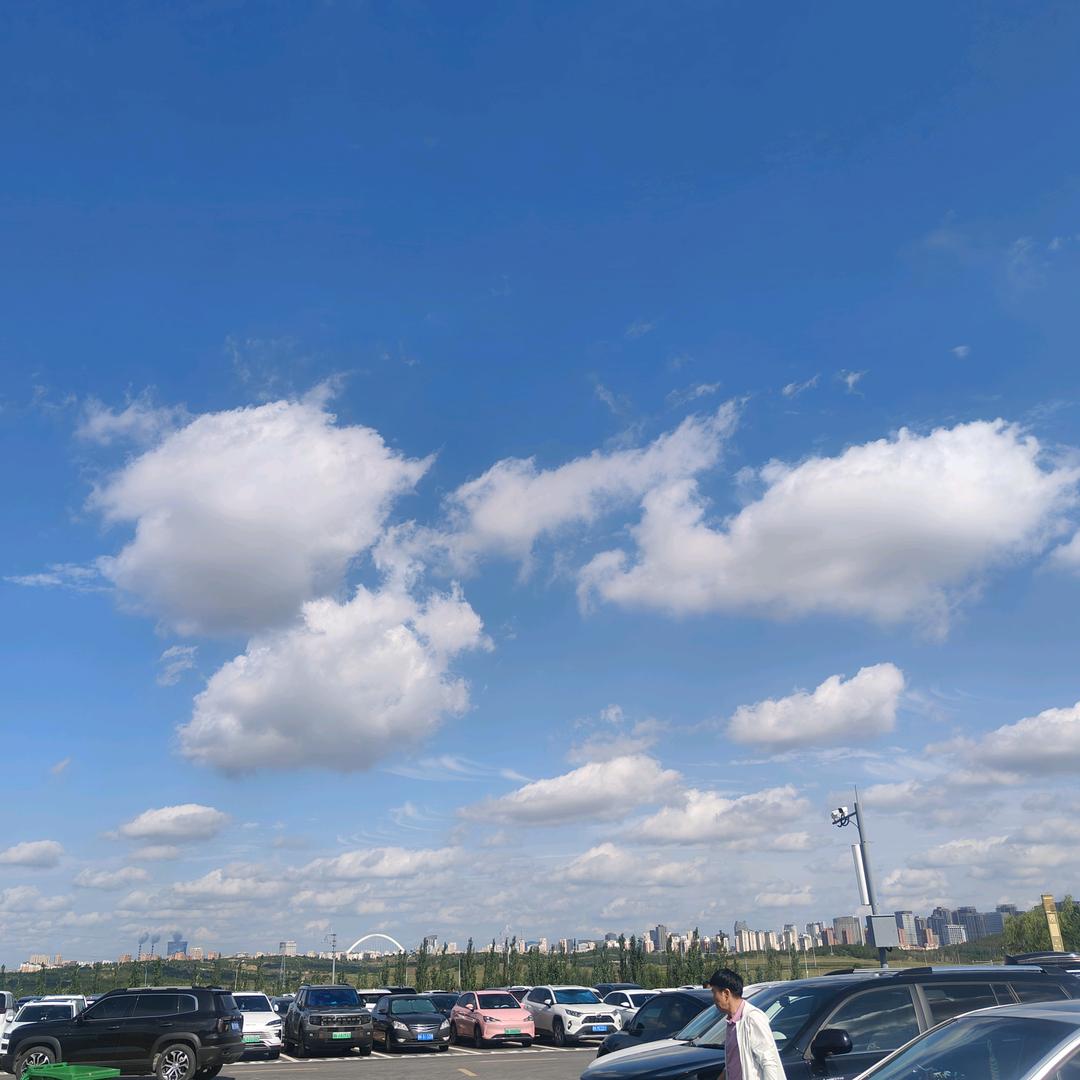 纽西之谜 荣荣(建业壹号店)