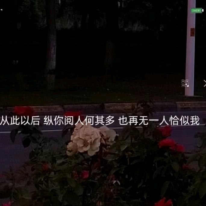 🦋꧁᭄残ღ忆᭄꧂🦋