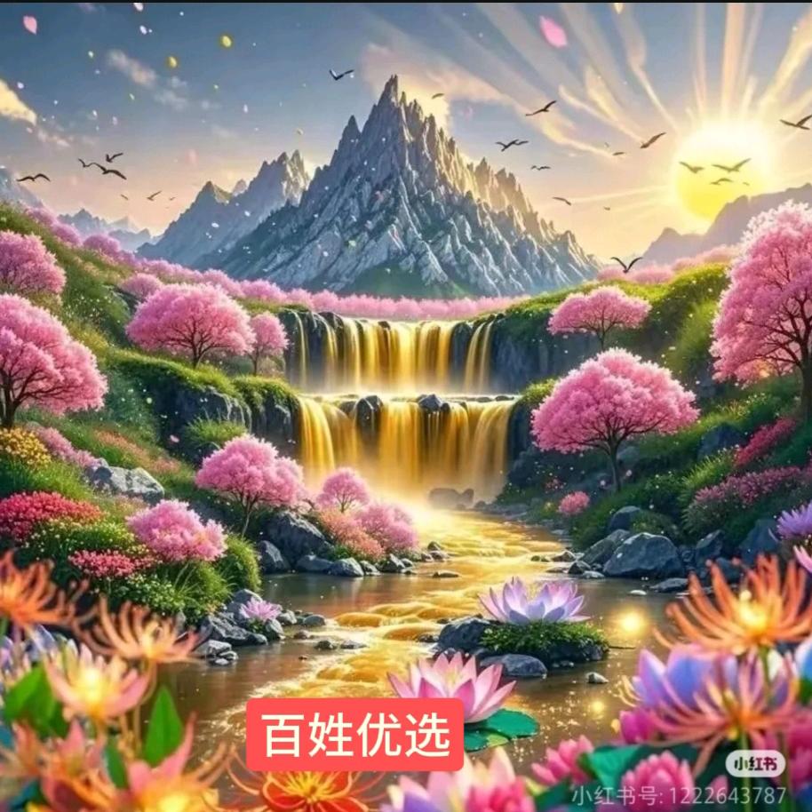 百姓优选