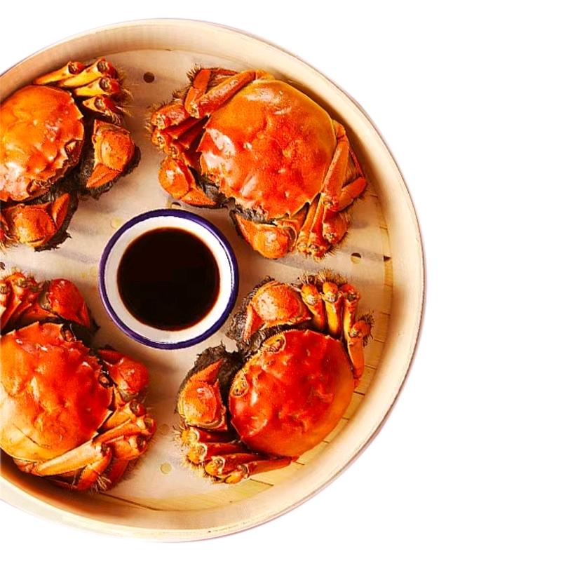 毛氏精品大闸蟹