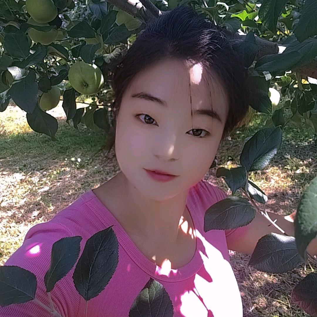晶贤