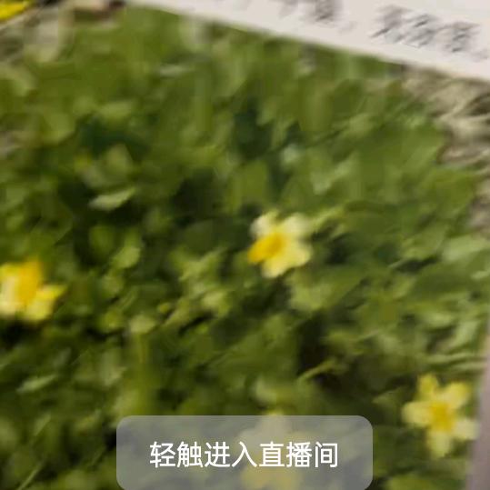 祝亮成功