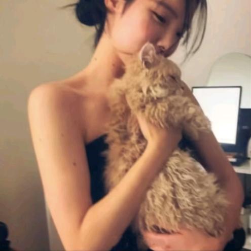 椰子🥥.