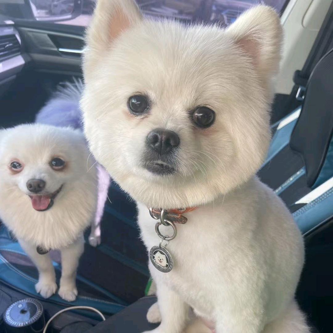 小强巴和小亚拉