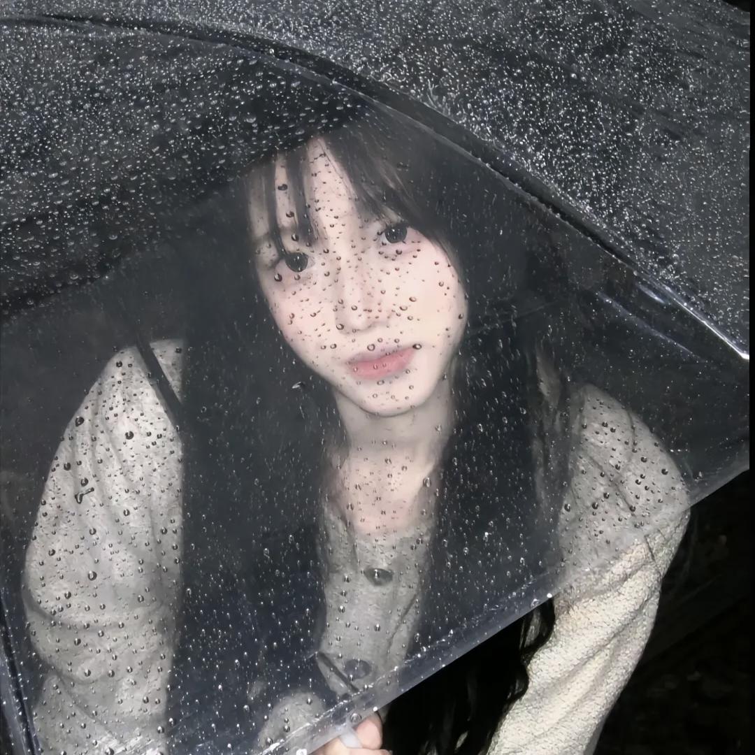 小猫不吃猫罐头