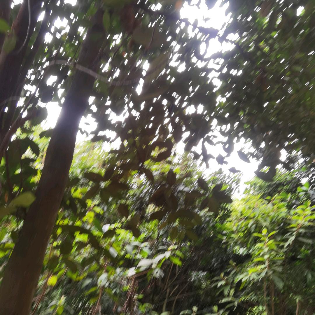 谁想谁呀？你想我么？