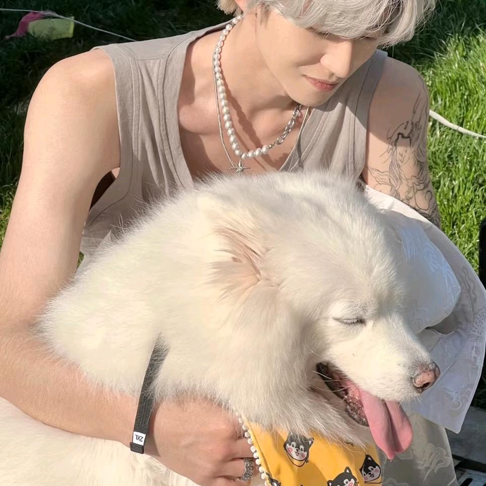 一念·🌙《破碎版》