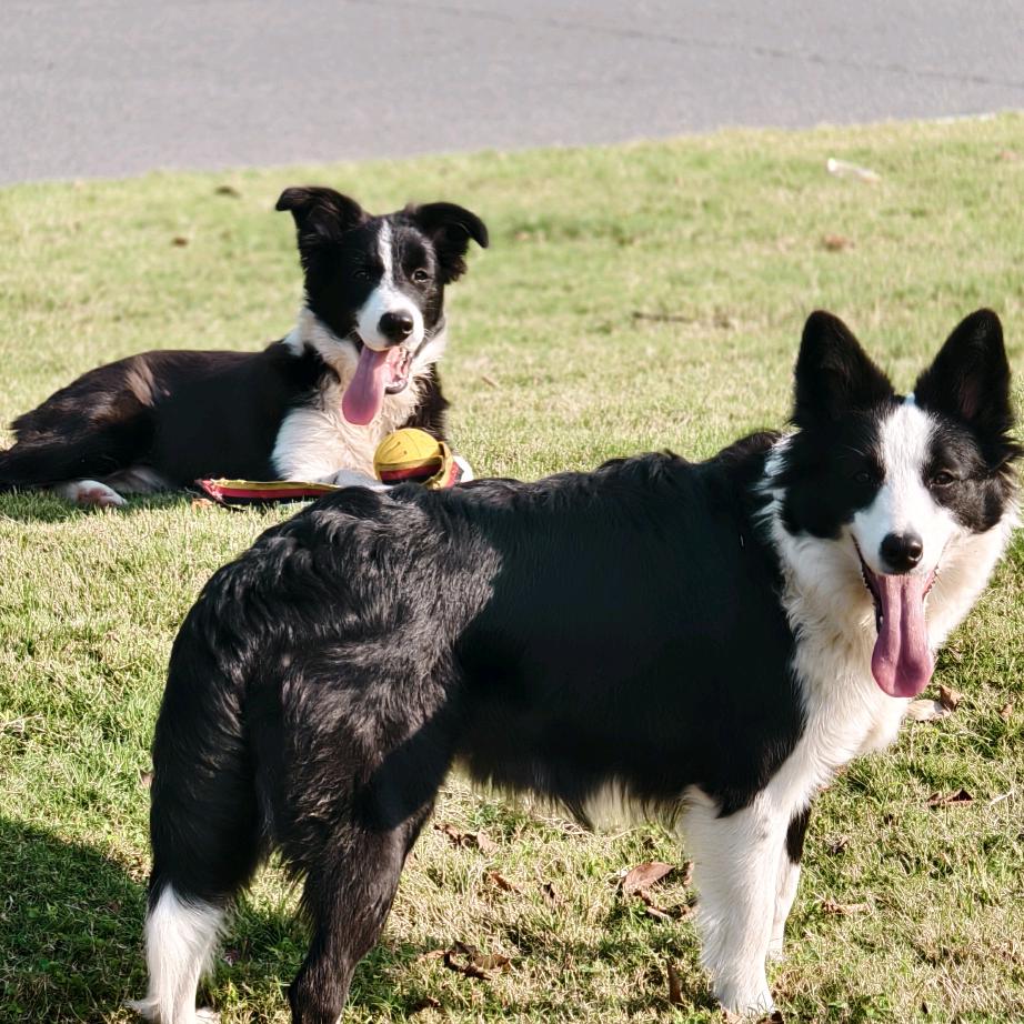 陈皮蛋的一家四口