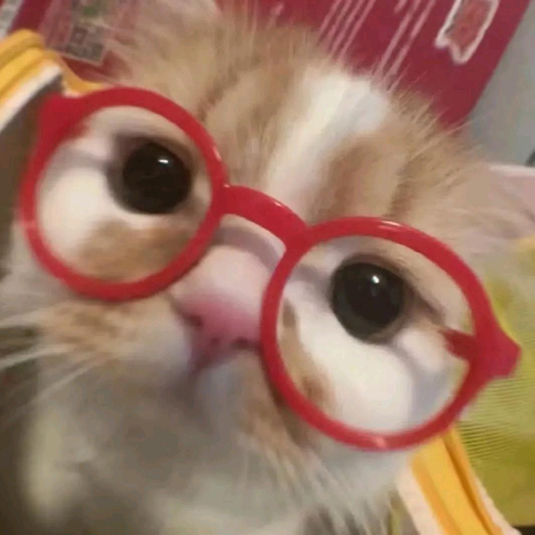 咬牙茄子.