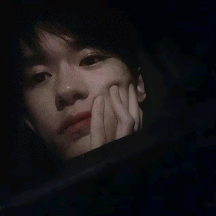 桑榆✨