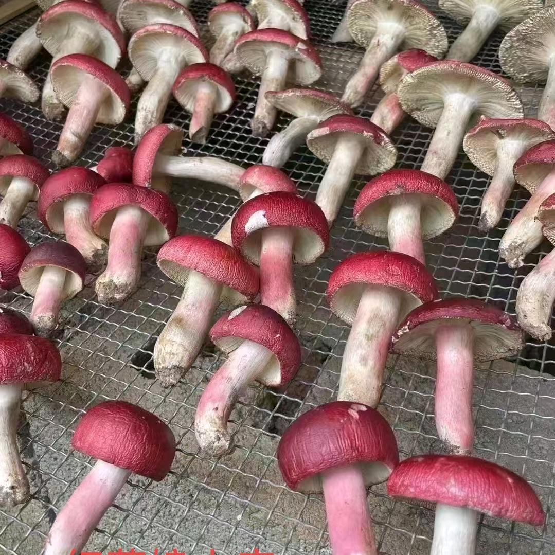 红菇娘土特产