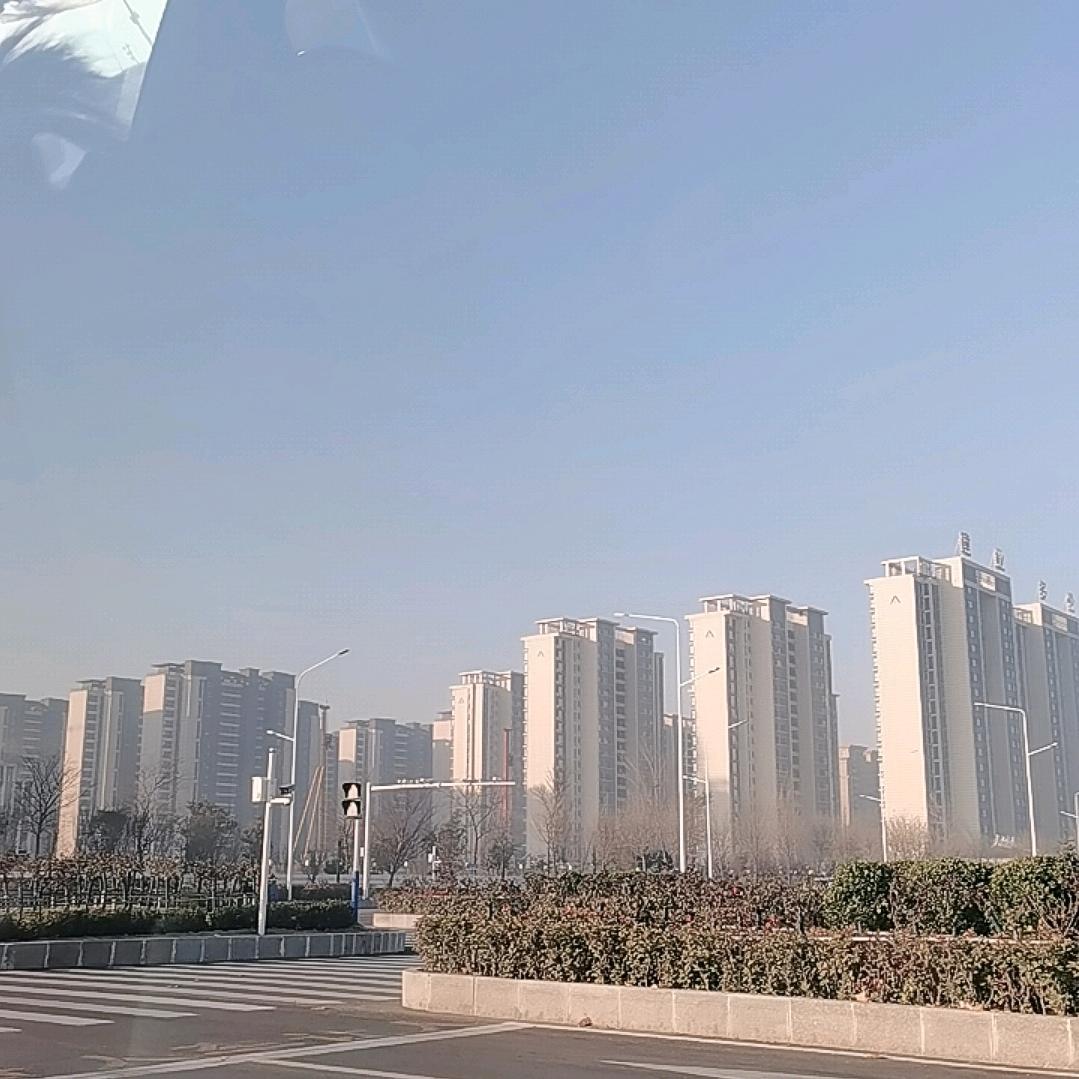 禅心先生