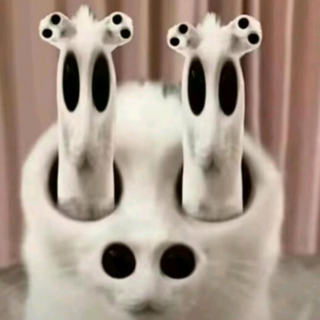 啊啊啊啊啊啊啊啊啊