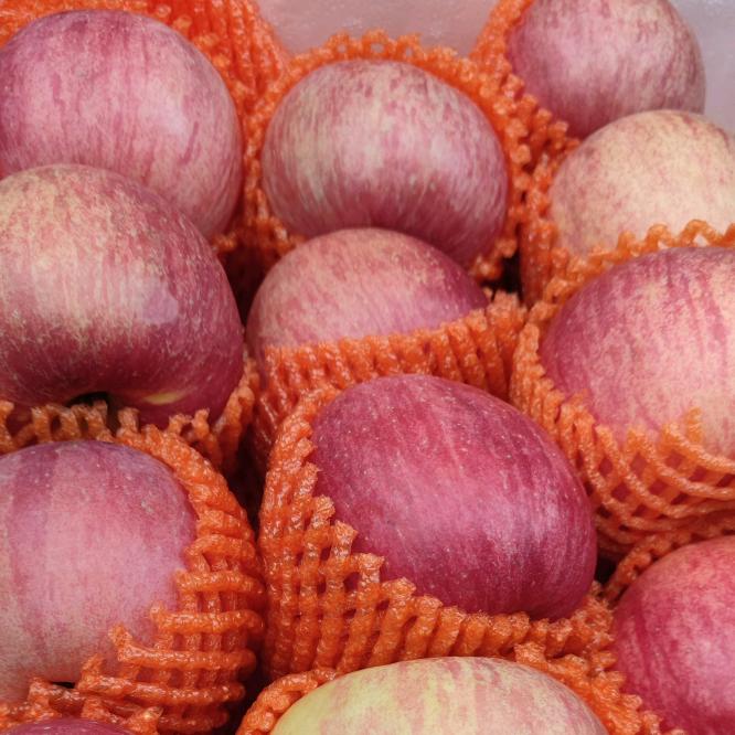 🍎摆摊水果小哥🍎